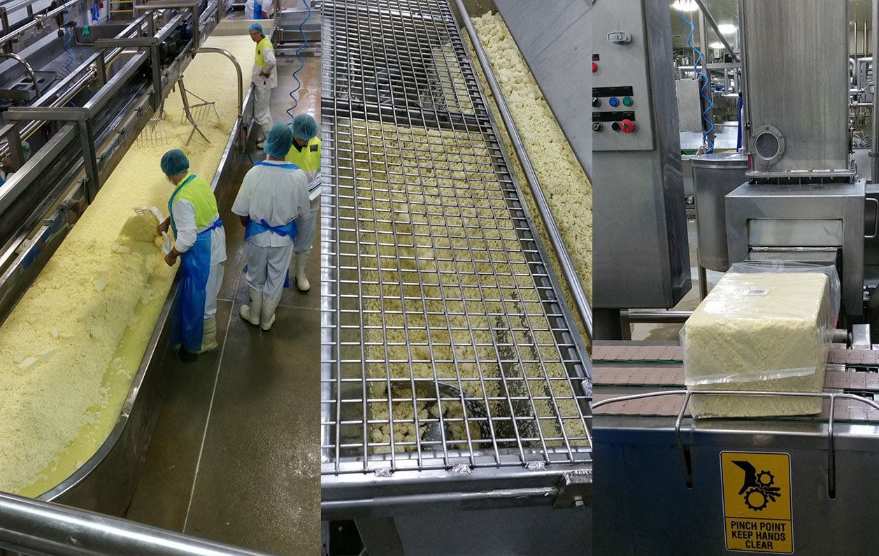 Tasmanian cheese producer automation to production